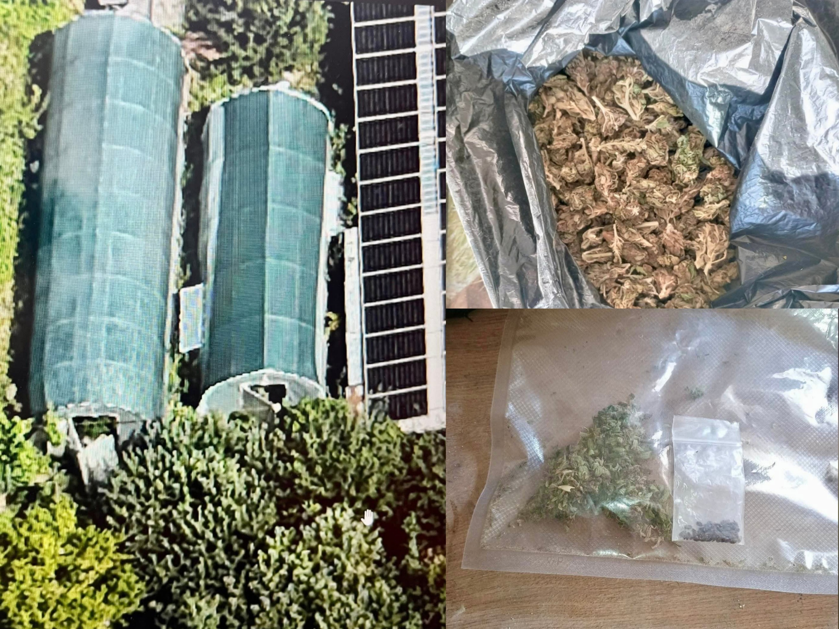 Двама в ареста при акция на ГДБОП в Русе! Антимафиотите откриха оранжерия, суха маса марихуана и екстази Двама в ареста при акция на ГДБОП в Русе! Антимафиотите откриха оранжерия, суха маса марихуана и екстази