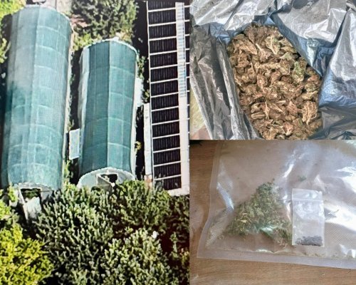 Двама в ареста при акция на ГДБОП в Русе! Антимафиотите откриха оранжерия, суха маса марихуана и екстази
