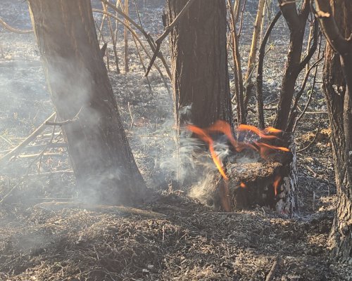 Голям пожар гори в санданското село Горно Спанчево