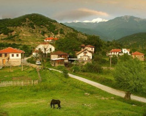 Събор и храмов празник в село Влахи