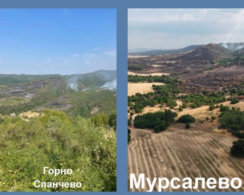 ЮЗДП: Пожарът в района на с. Горно Спанчево е навлязъл в горски територии. Пожарът край Мурсалево все още не е изгасен