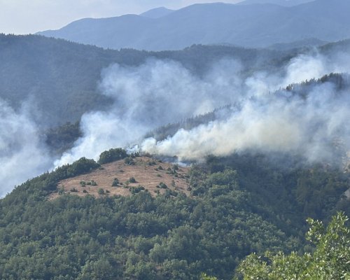 Огнената стихия край Горно Спанчево остава активна , пожарът все още не е локализиран