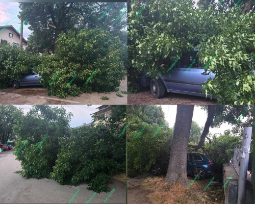 След силен вятър и съпровождаща буря: Клон потроши два автомобила в Банско