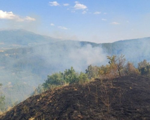 Добра новина: Овладян е пожарът край Горно Спанчево, обстановката остава спокойна