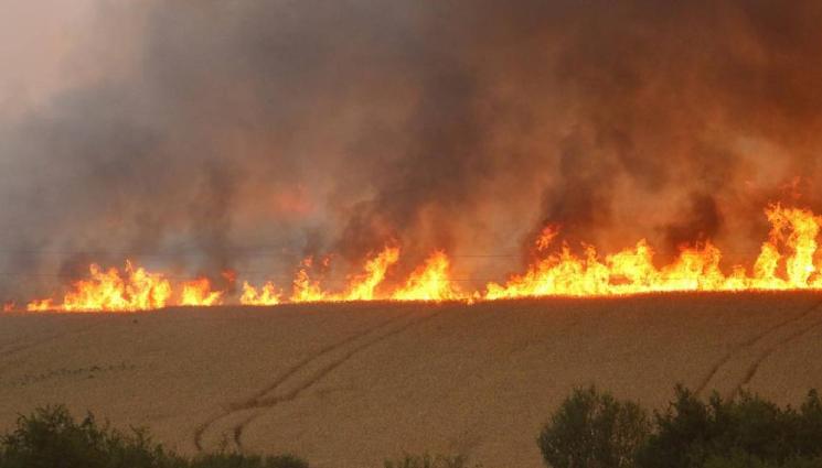 Голям пожар вилнее край Белово, търсят се спешно доброволци