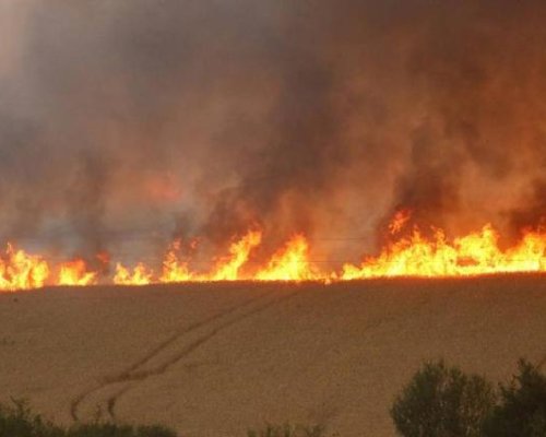 Голям пожар вилнее край Белово, търсят се спешно доброволци