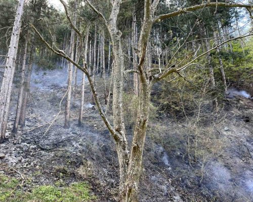 Три пожара в Кюстендилско ! 10 дка гора пламна между Ваксево и Фролож