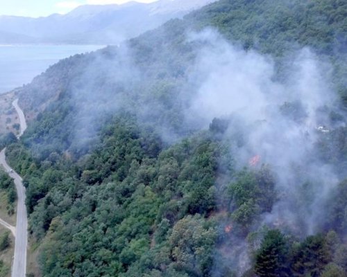 Възобновени огнища от пожара в Рила, екипи продължават гасенето