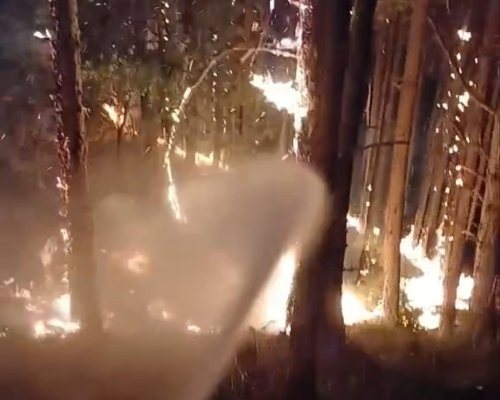Огнена стихия над Илинденци! Доброволци и горски в борба с пламъците