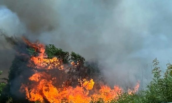 Пожарът в село Илинденци се разраства, включват втори хеликоптер в гасенето