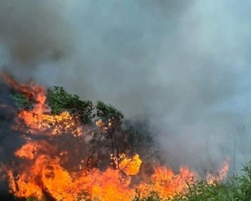 Пожарът в село Илинденци се разраства, включват втори хеликоптер в гасенето