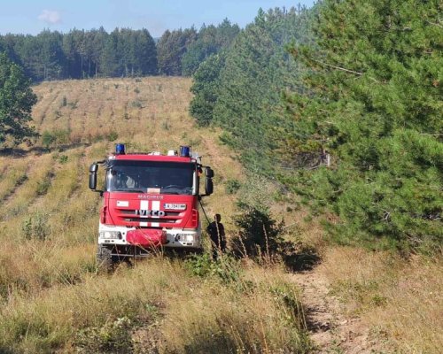 Голям пожар и в Трънско