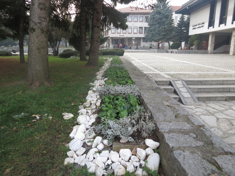 Над 1500 луковици на цветя ще бъдат използвани за пролетно зацветяване в Банско
