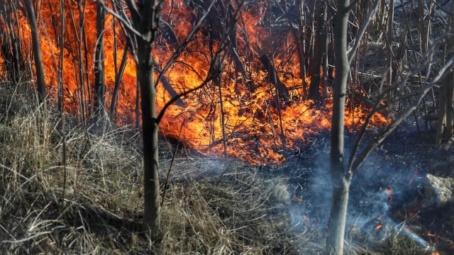 Над 12 000 декара в Пирин горят, огънят се връща към населените места