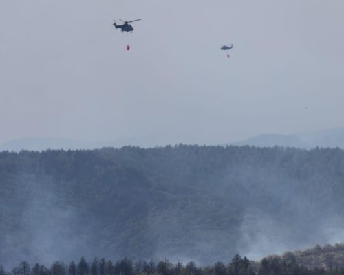 Пилот: Картината е страшна и тъжна, много е зле положението с пожарите