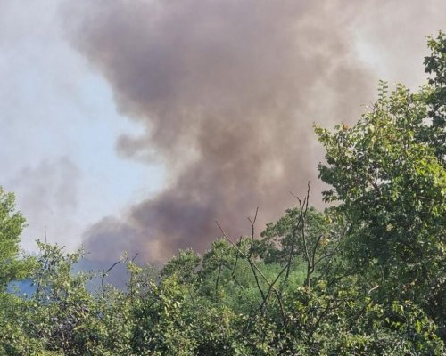 Пожарите в Югозапада застрашават здравето на хиляди-лекари от столицата предупреждават за  невидим убиец