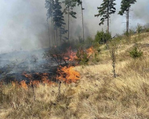 За денонощие: Огнеборци гасиха 8 пожара в Кюстендилско