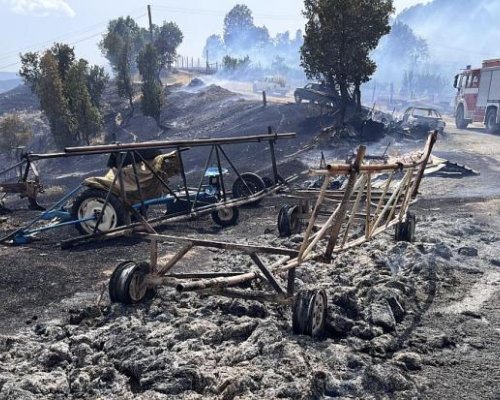 До 7500 лв. за всяко пострадало от пожарите семейство