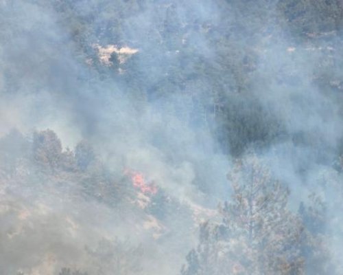 Пожарите са овладени, но тревогата остава: В Плоски огнищата още тлеят