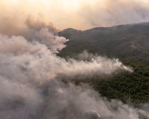 Няма край: Пирин пак пламна, гората над село Плоски гори