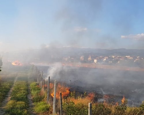 Въпреки пожарите:79-годишен подпалва отпадъци в двора си в Санданското село Плоски