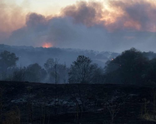 Голям пожар избухна и в Сакар планина