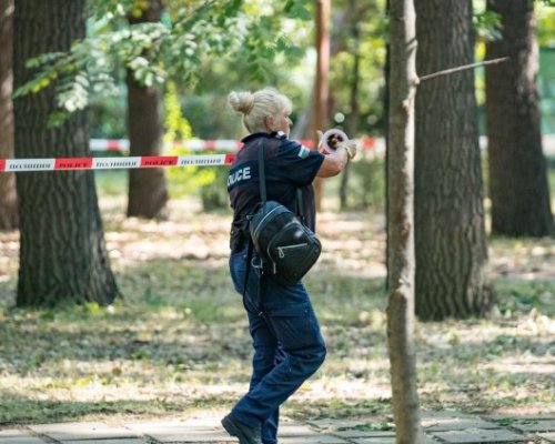 Загиналият в Борисовата градина - 39-годишен бивш треньор по тенис