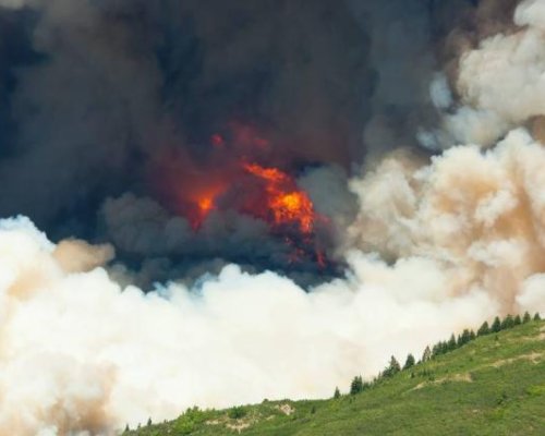 Голям пожар пълзи към Стара планина, евакуираха десетки души!