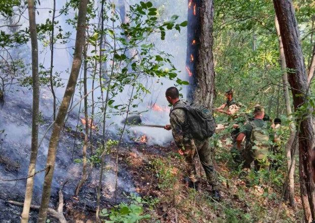 Кугар гаси пожара над Илинденци, а 20 военни потушават пламъци в Пирин