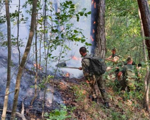 Кугар гаси пожара над Илинденци, а 20 военни потушават пламъци в Пирин