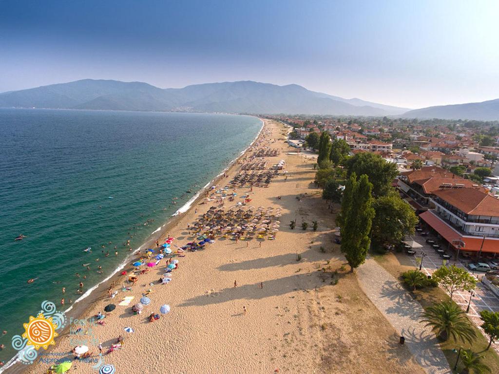 Българка е глобена с 1000 евро в гръцкия курорт Неа Врасна , оставила кучето си затворено в кола