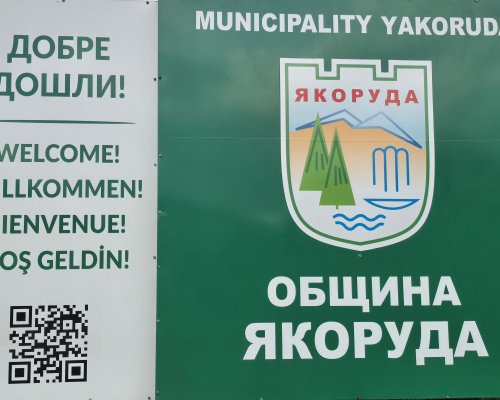 ОбС Якоруда ще гласува програма за овладяване на популацията на безстопанствените кучета в общината