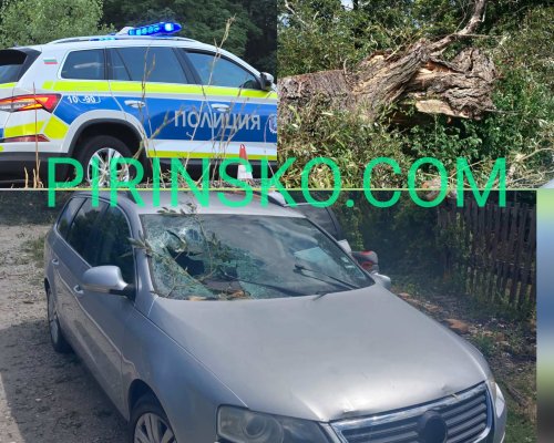 Дърво падна върху кола на пътя между Добринище и Банско