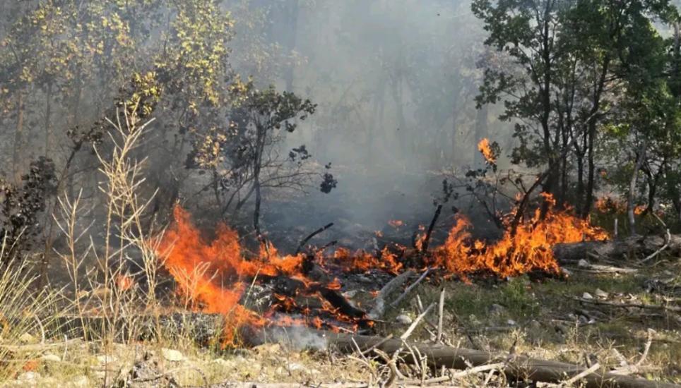 Пожар пламна тази в Сенокос, търсят се доброволци