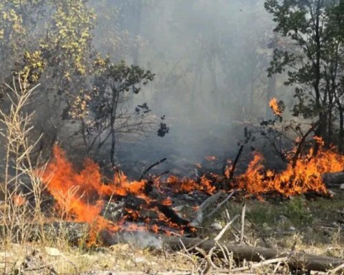 Пожар пламна тази в Сенокос, търсят се доброволци
