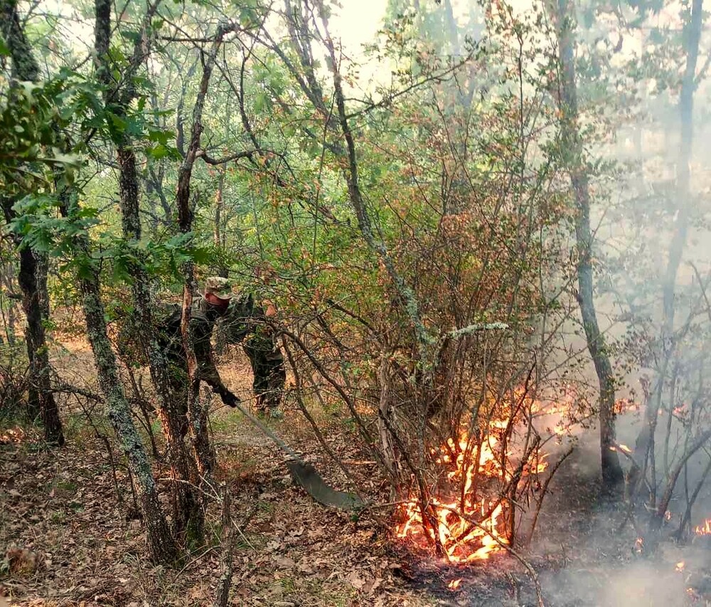 Потушен е пожарът над село Сенокос Потушен е пожарът над село Сенокос