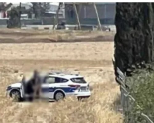 Полицията разследва унищожени овесени посеви във Ваксево