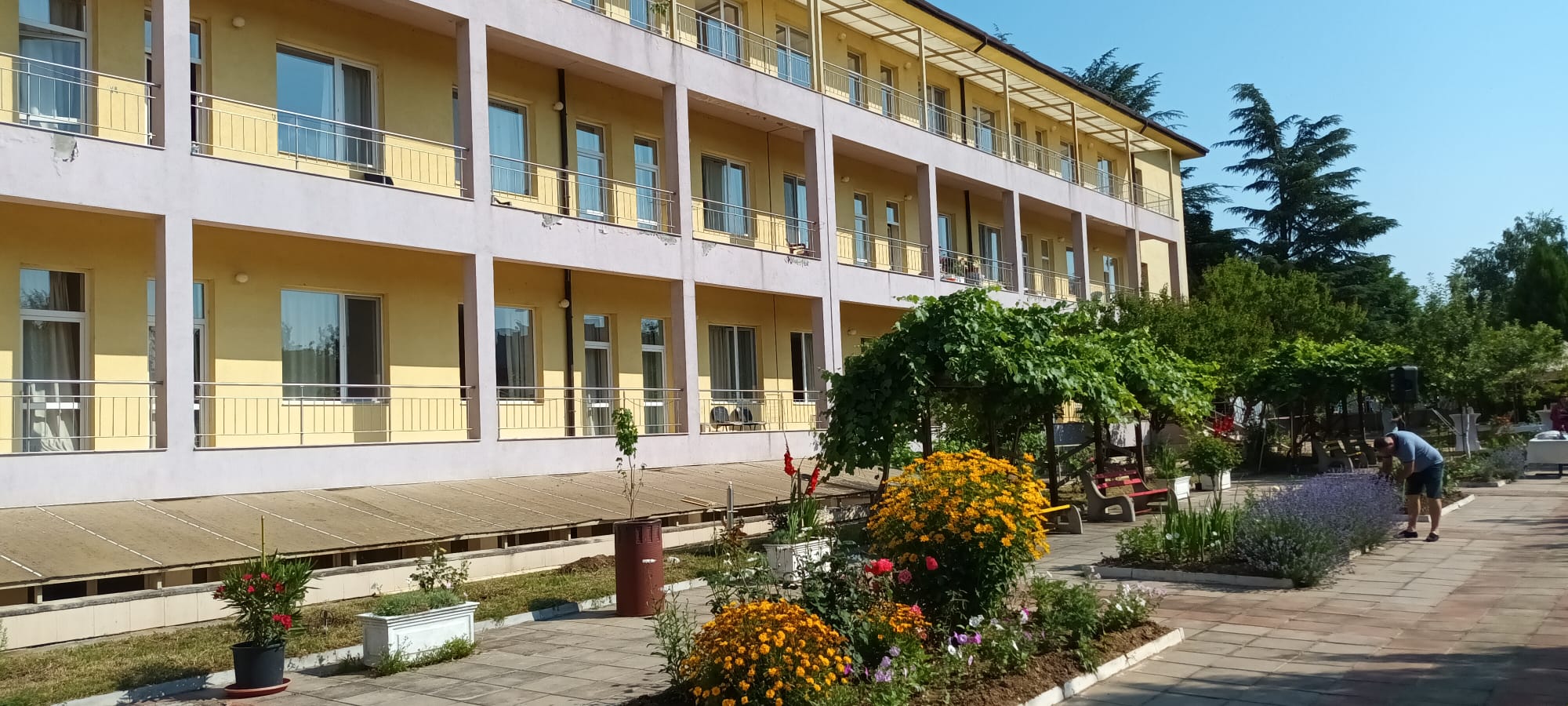 Продължава застаряването на населението в България: 24 са над 65 г., правителството инвестира в домове и социални услуги за възрастни Продължава застаряването на населението в България: 24 са над 65 г., правителството инвестира в домове и социални услуги за възрастни
