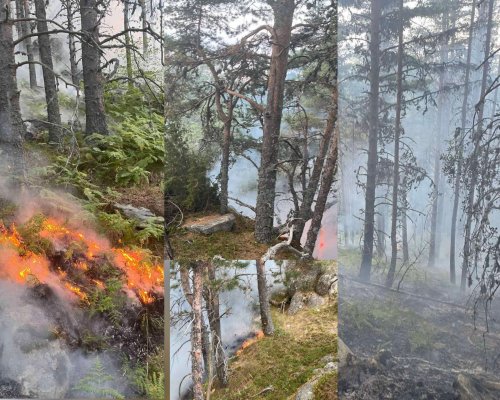 Разраства се пожарът в Национален парк Рила над село Горно Осеново