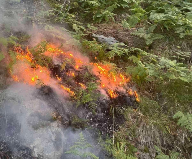 Пожарът над село Горно Осеново се разраства