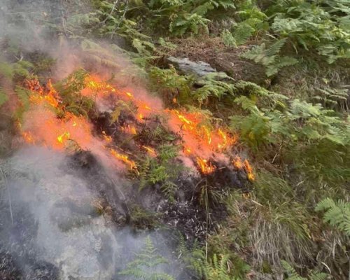 Пожарът над село Горно Осеново се разраства