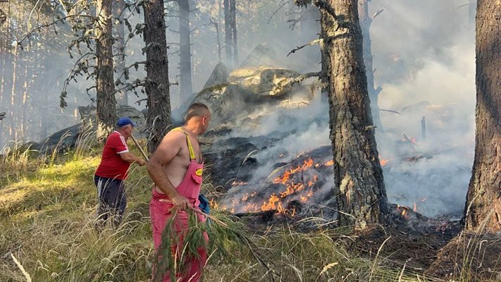 Огън поглъща Рила : Пожарът обхвана 30 дка гора