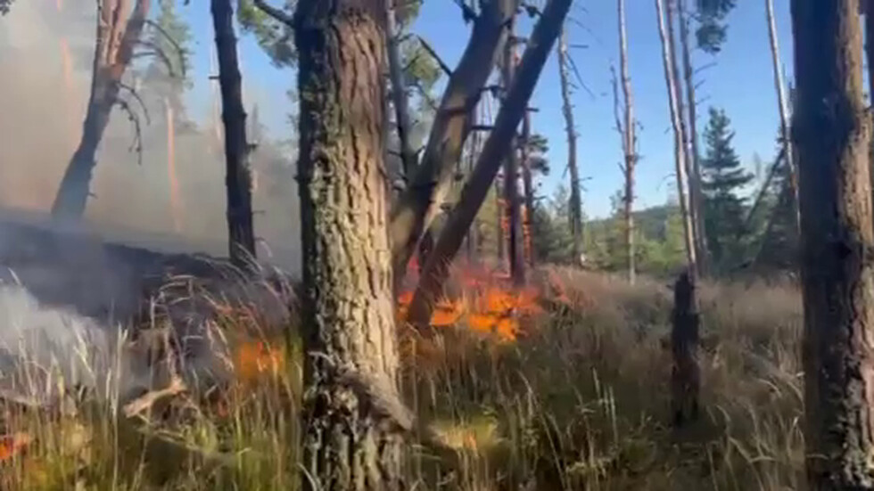 Пожарът в Рила е неконтролируем и се разраства, въпреки по-ранните уверения, че е ограничен Пожарът в Рила е неконтролируем и се разраства, въпреки по-ранните уверения, че е ограничен