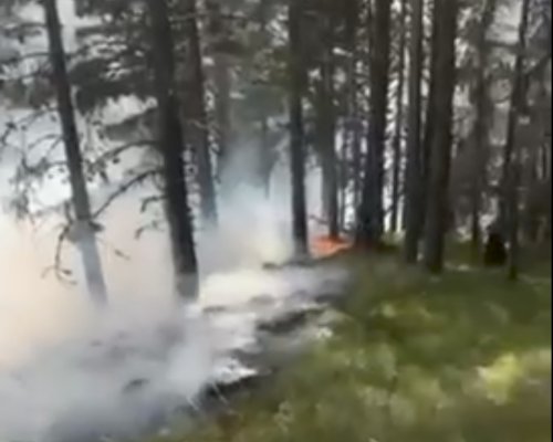 Пожарът в Рила е неконтролируем и се разраства, въпреки по-ранните уверения, че е ограничен