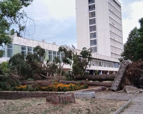 Ураган в Кюстендил: кметът апелира, който може да помага, всички останали да са на закрито!