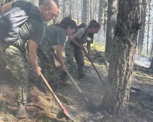 Трети ден военни помагат в гасенето на огъня в Рила