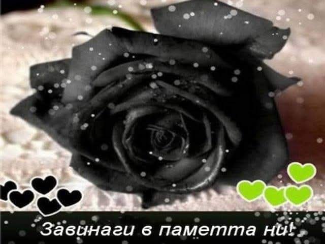 Отиде си Никола Кадийски, създател и вдъхновител на НЧ Съгласие-2007 с. Жабокрът