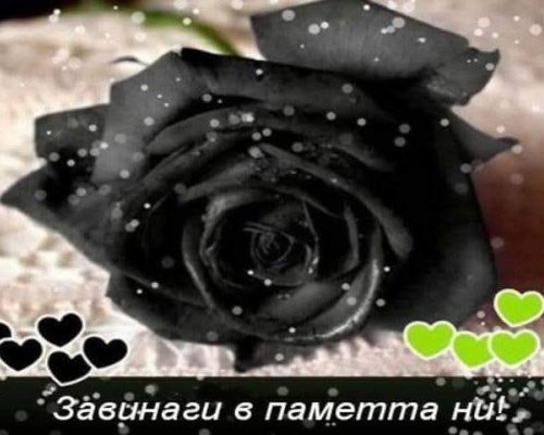 Отиде си Никола Кадийски, създател и вдъхновител на НЧ Съгласие-2007 с. Жабокрът