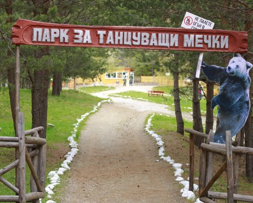 Фондация Четири лапи ще отбележи своята 25-годишнина с първото по рода си VR преживяване в Парка за мечки в Белица