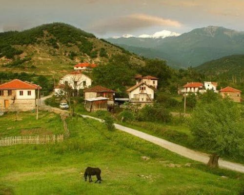 С традиционен курбан село Влахи отбелязва храмовия си празник